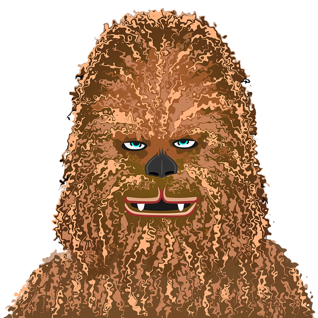 Charcter Chewbacca